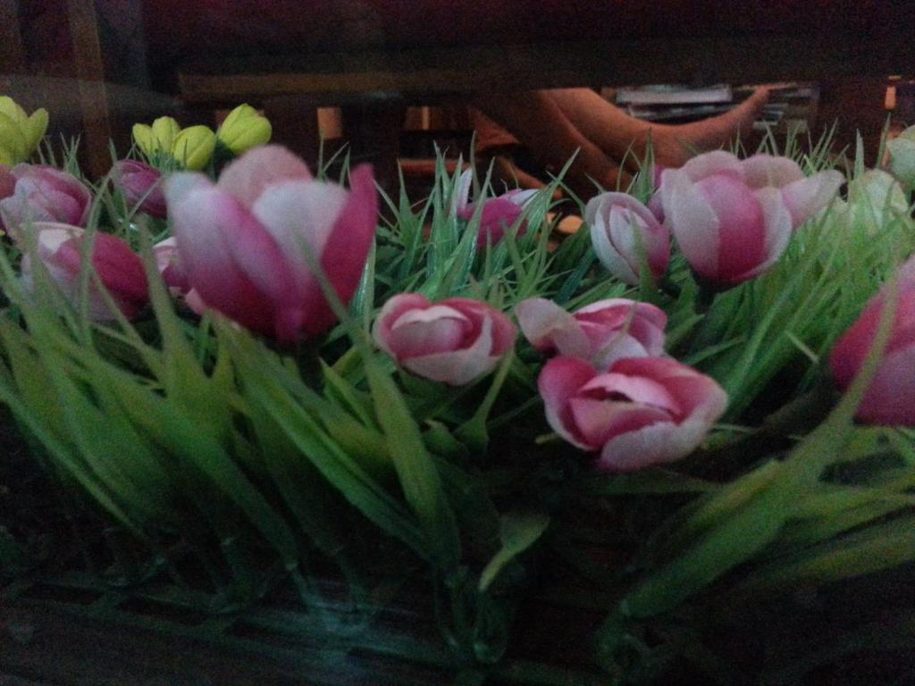 Pink Tulip Hotel Hô Chi Minh-Ville Extérieur photo