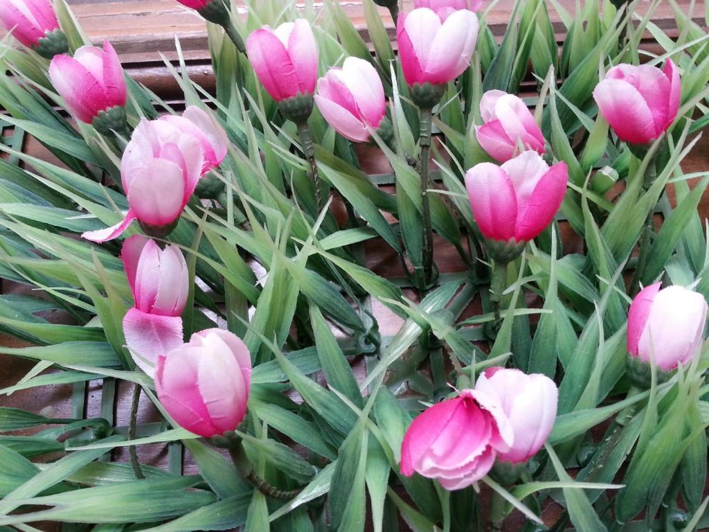 Pink Tulip Hotel Hô Chi Minh-Ville Extérieur photo